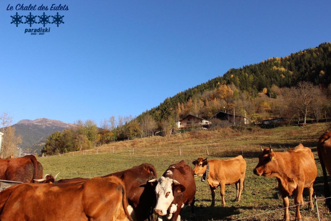 Le Chalet Des Eulets Bourg-Saint-Maurice Eksteriør bilde