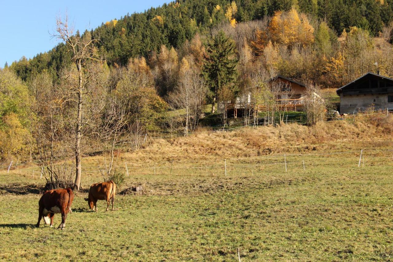 Le Chalet Des Eulets Bourg-Saint-Maurice Eksteriør bilde